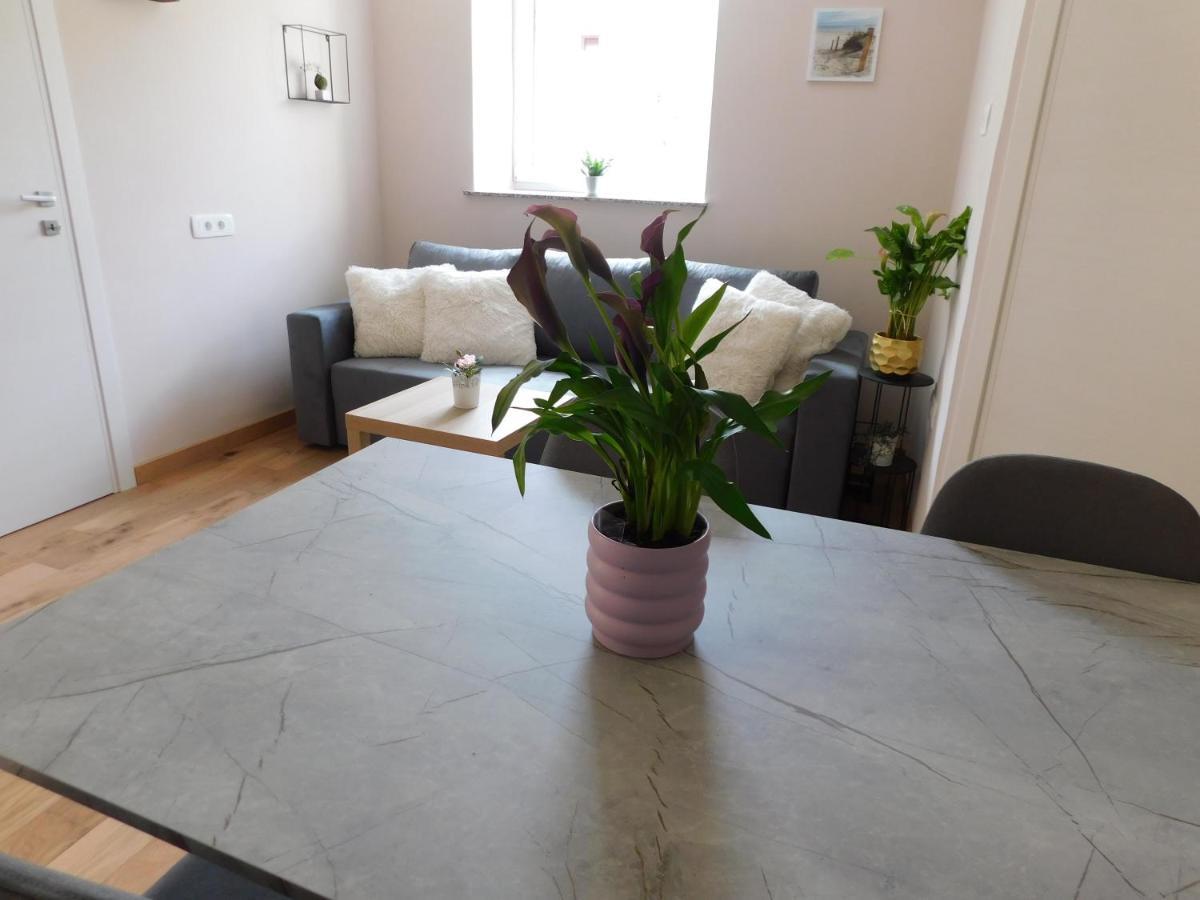 Hisa Limoni Apartamento Koper Exterior foto